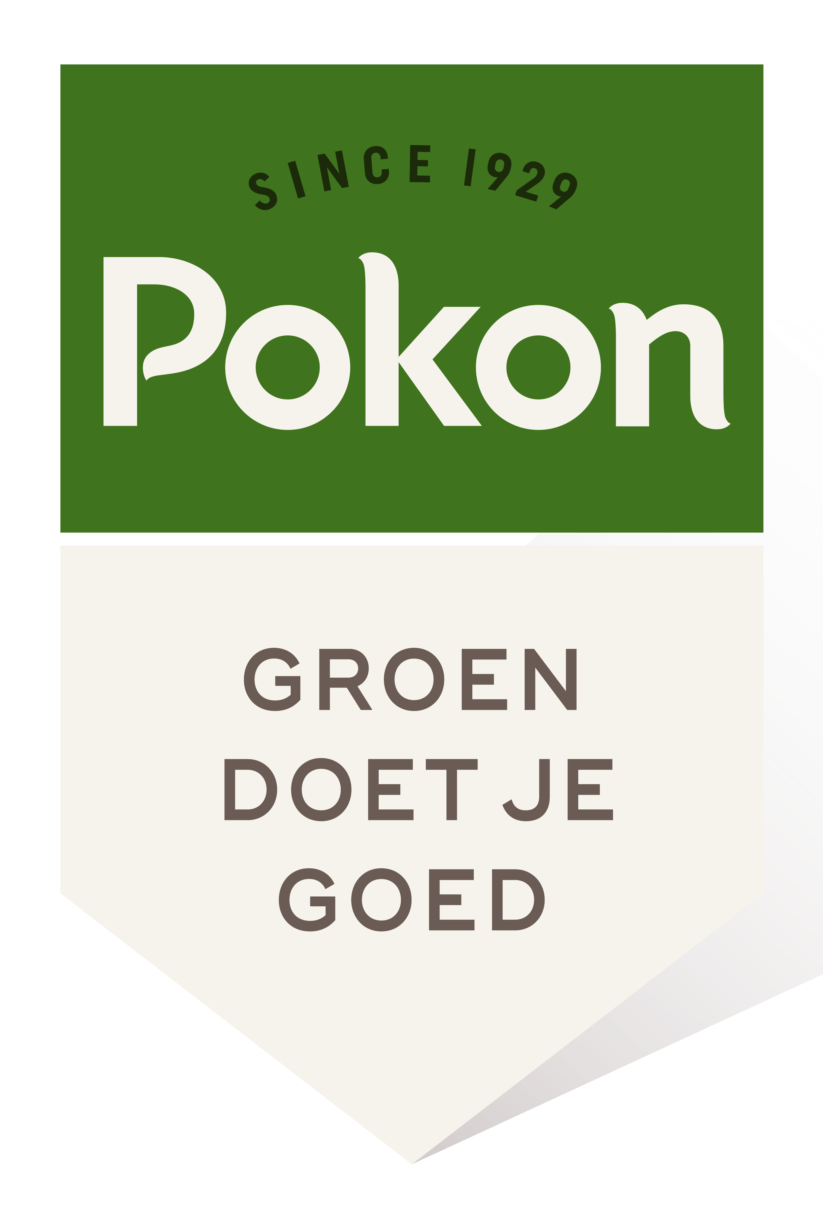 Pokon